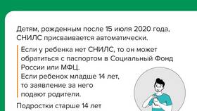 Для чего операторы связи просят СНИЛС в Корпорация Центр