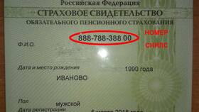 Как узнать СНИЛС иностранного работника в Корпорация Центр