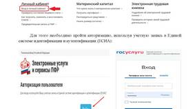 Как войти в личный кабинет МФЦ в Корпорация Центр