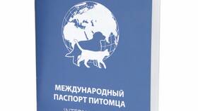 Как заполнять паспорт животного в Корпорация Центр