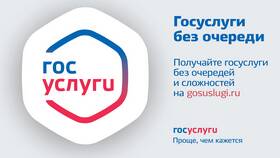 Почему требуется СНИЛС на портале Госуслуги в Корпорация Центр
