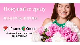 Прием платежей: что это и как работает в Корпорация Центр